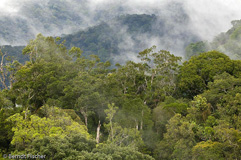 Mount Kinabalu - Zum Vergroessern klicken!